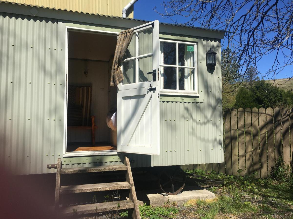 Posh Huts Farmstay Falstone Eksteriør billede