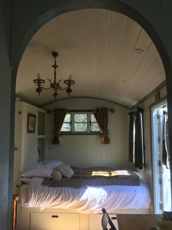 Posh Huts Farmstay Falstone Eksteriør billede